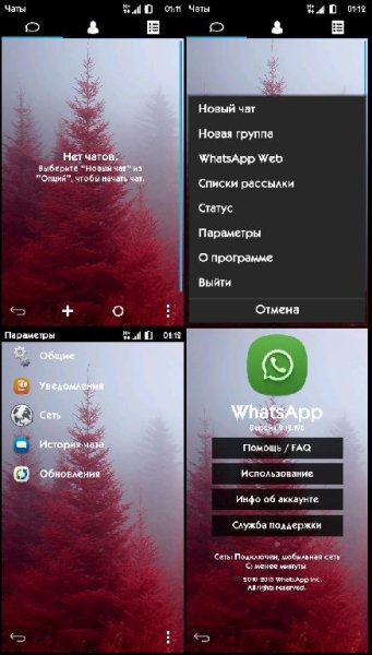 WhatsApp v2.12(198)