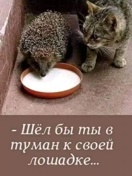 FB IMG 1778184461752