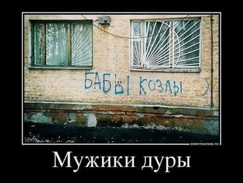 file_81060096