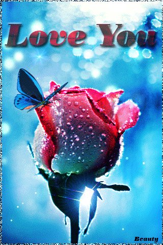file_73884553