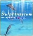 DSS Dolphinarium