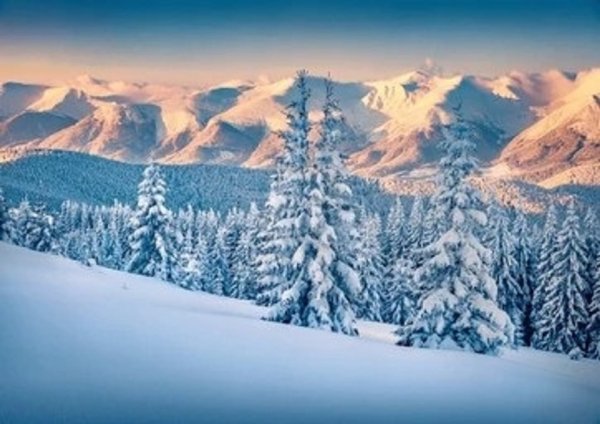 Лес и горы