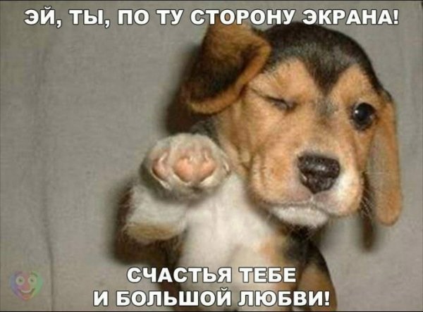 file_71507970