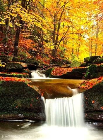 getImage (16)