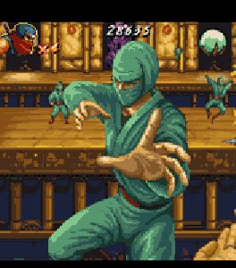 Shinobi Tolerance (SE-176x220)