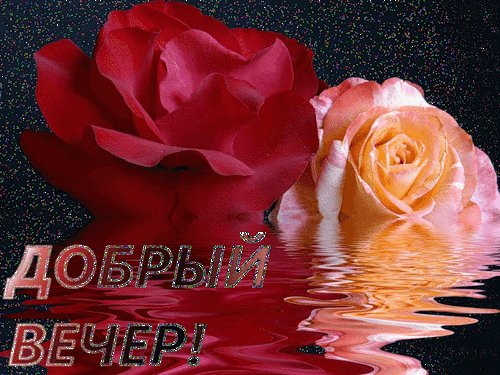 Добрый вечеррозы на водеанимация