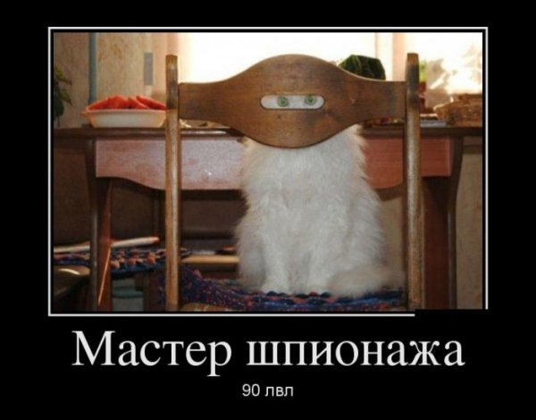 demotivr