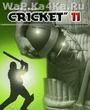 Cricket11 nok s40v3 240x320