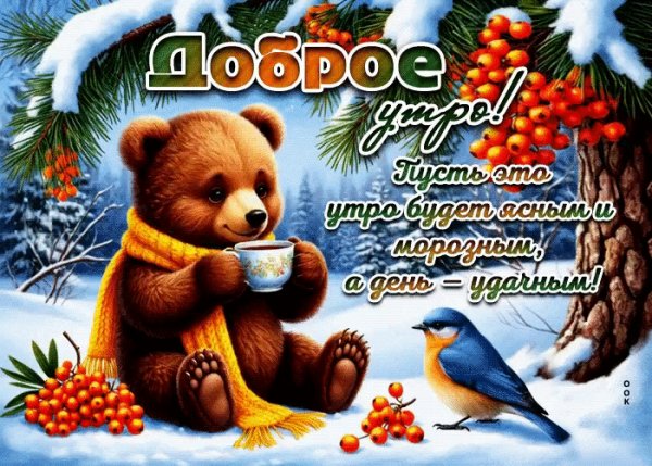 IMG 20260208 010521