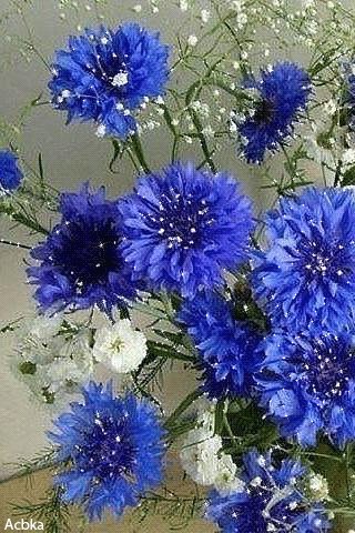 file_59366999