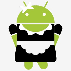 SD Maid Pro v4.5.4.arm