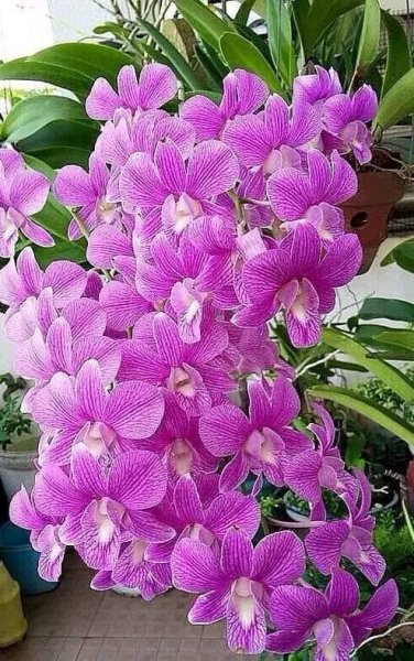 file_96269987