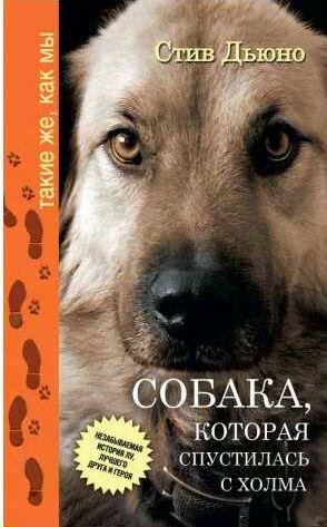 Собака, которая спустилась с холм
