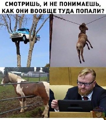file_102433575