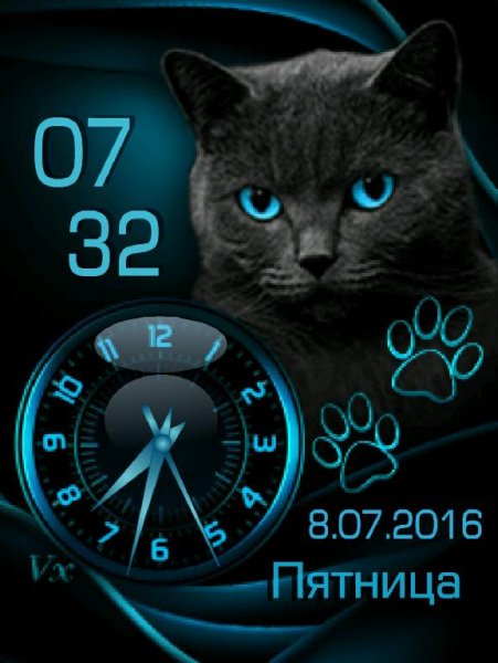 Котик