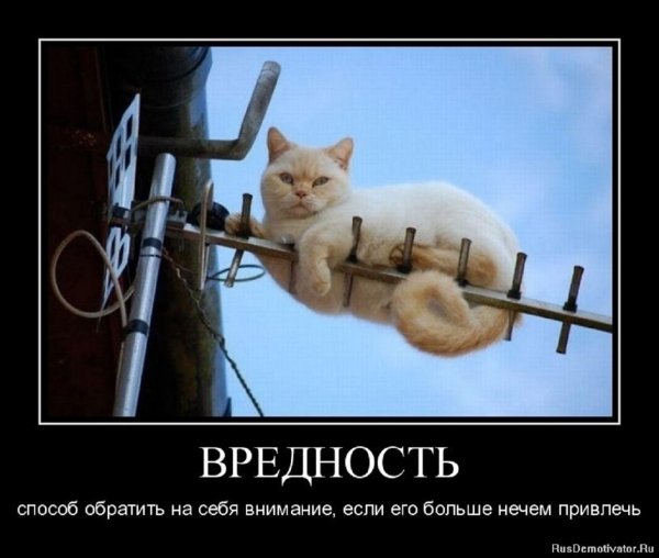Способ обратить на себя внимание