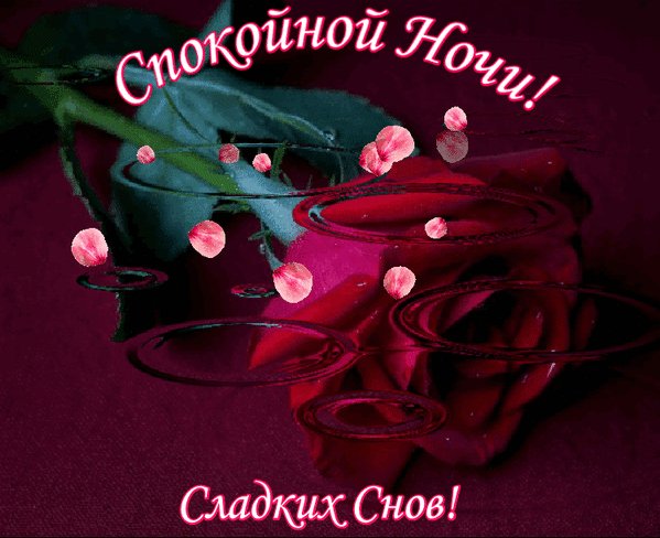 spokojnoj-nochi