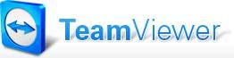 TeamViewer portable ru