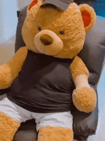 Teddy