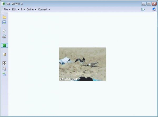 gif-viewer-3.2