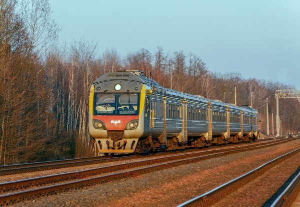 ДР1Б-500