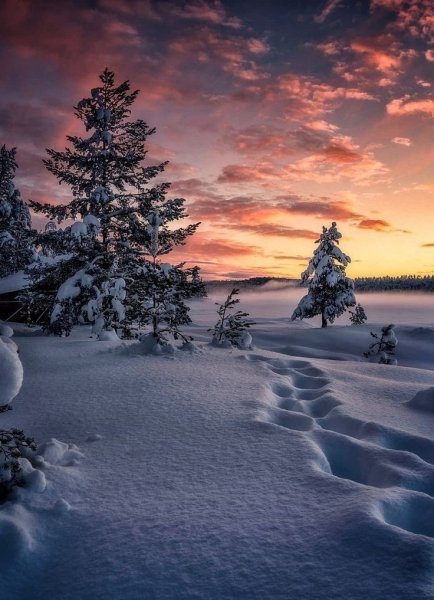file_101819504
