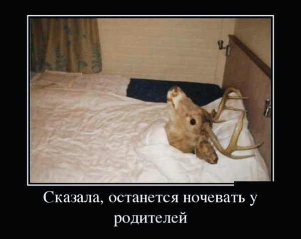 IMG 20241210 200404