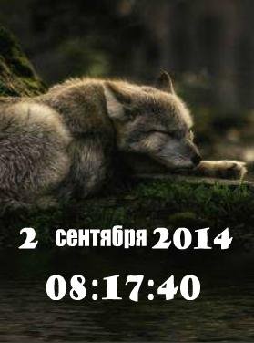 flash Волк цифр часы дата