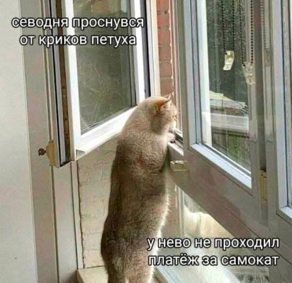 FB IMG 1778146977828