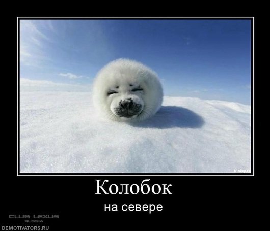 file_78822214