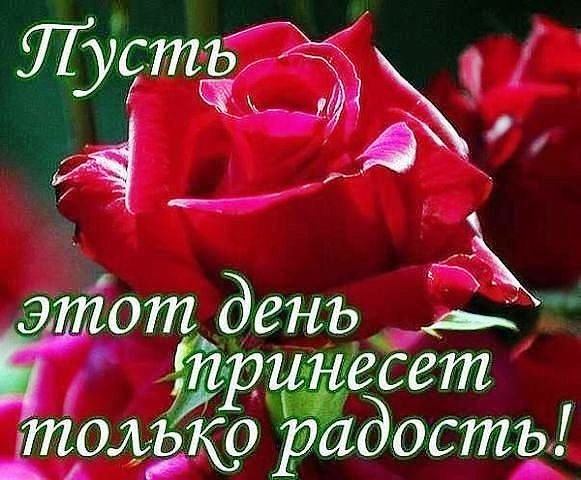 Пожелание