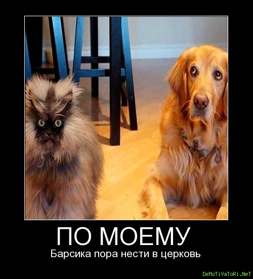 dccdbddb251d23628330f99393f51950