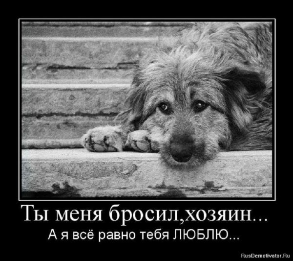 А я всё равно тебя люблю...