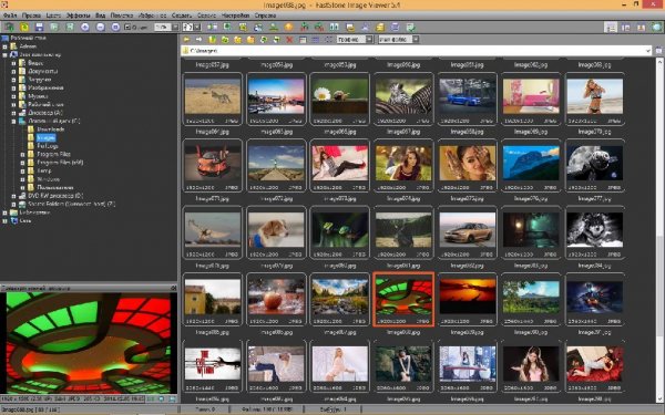 FastStone Image Viewer v5.4 (2015-07-31)