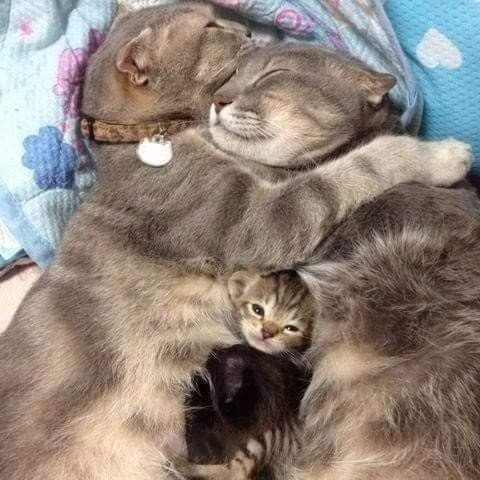 FB IMG 1627328211529