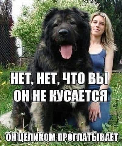 FB IMG 1778146091371