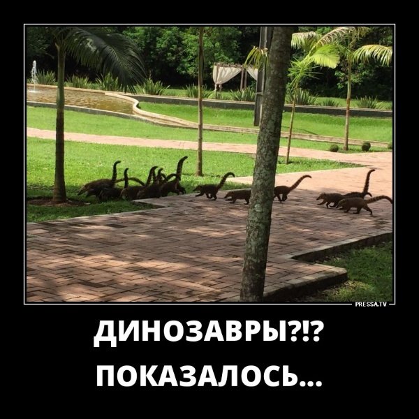 file_77072115