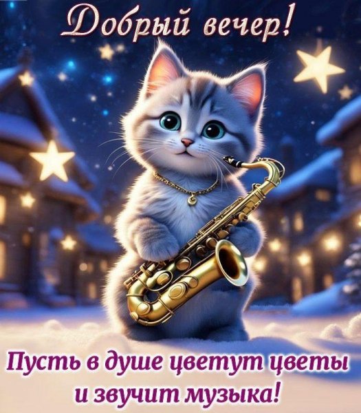 IMG 20260207 173607 961