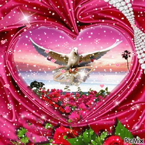 ffad1ce256db08b33cce8a4a8