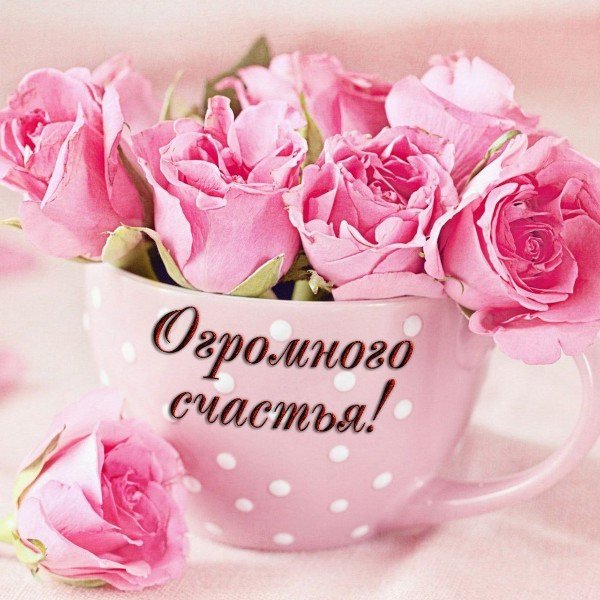 file_95103553