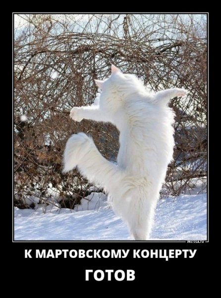 Готов