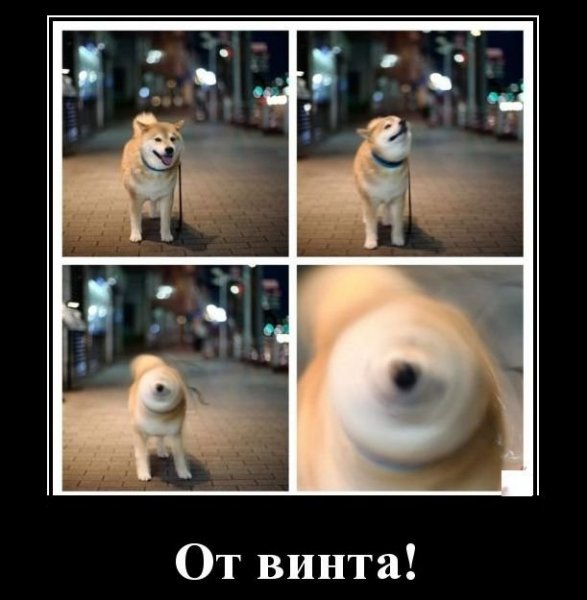 file_78329357