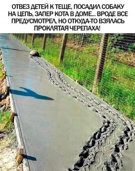 FB IMG 1778184846933