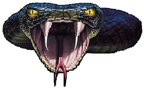 Super Python