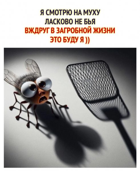 FB IMG 1778146297534