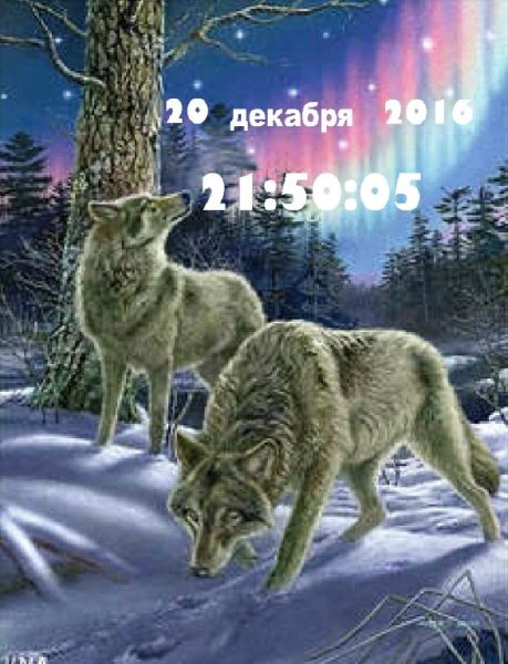 Волки
