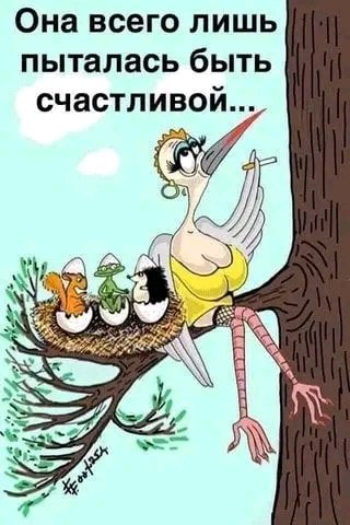 file_103248214