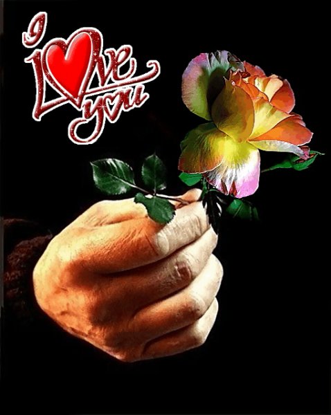 ILY РЛ