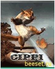 Cippi S60v3 195