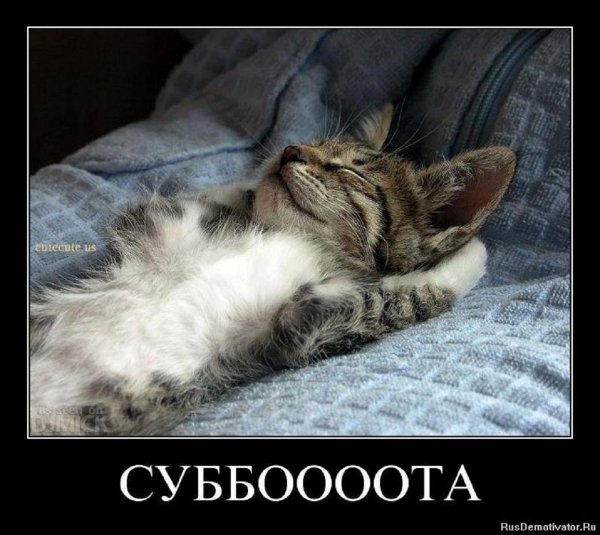 Суббота...